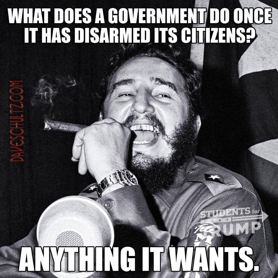 what-does-a-government-do-once-it-disarms-its-citizens-daveschultz