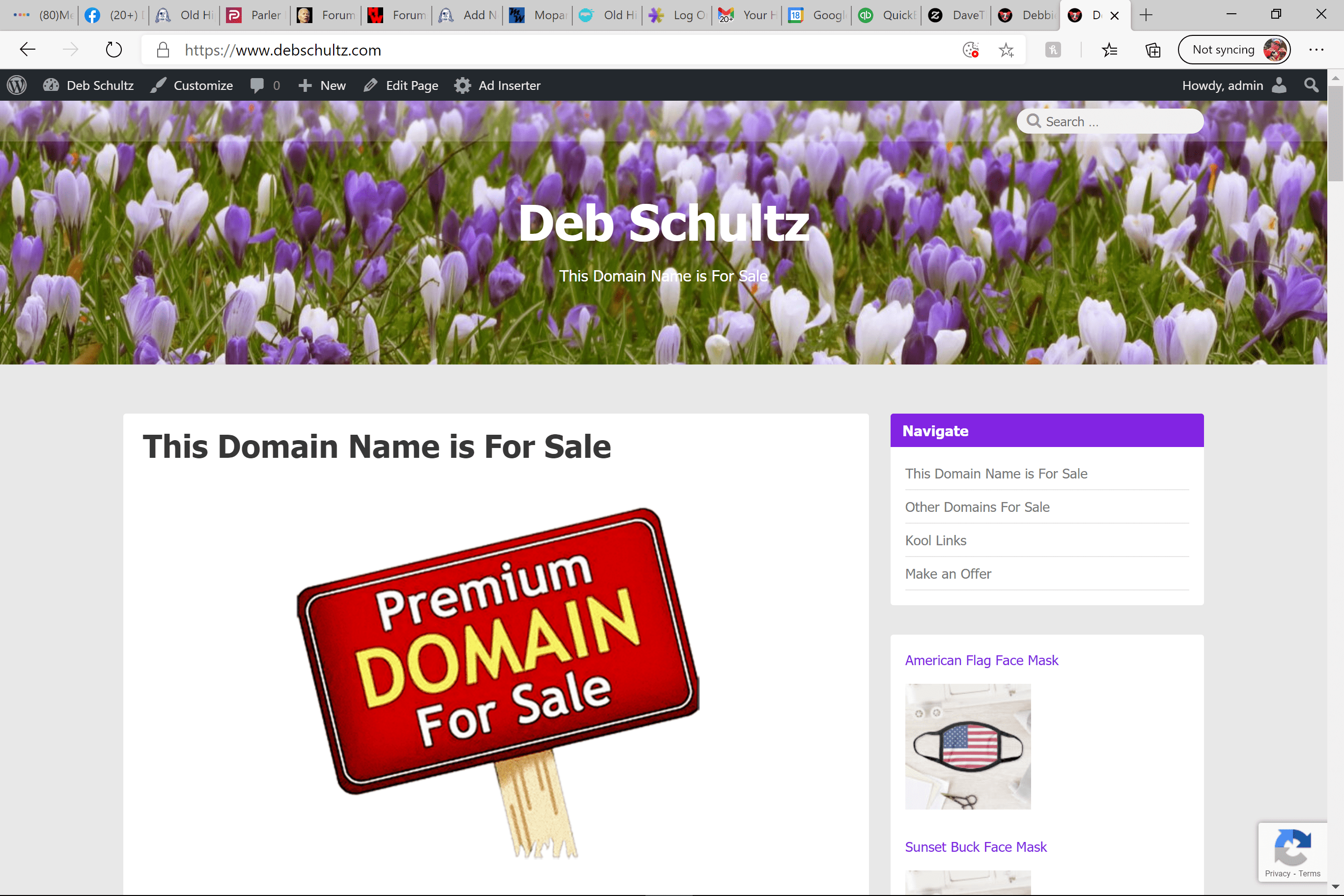 Who Is Deb Schultz