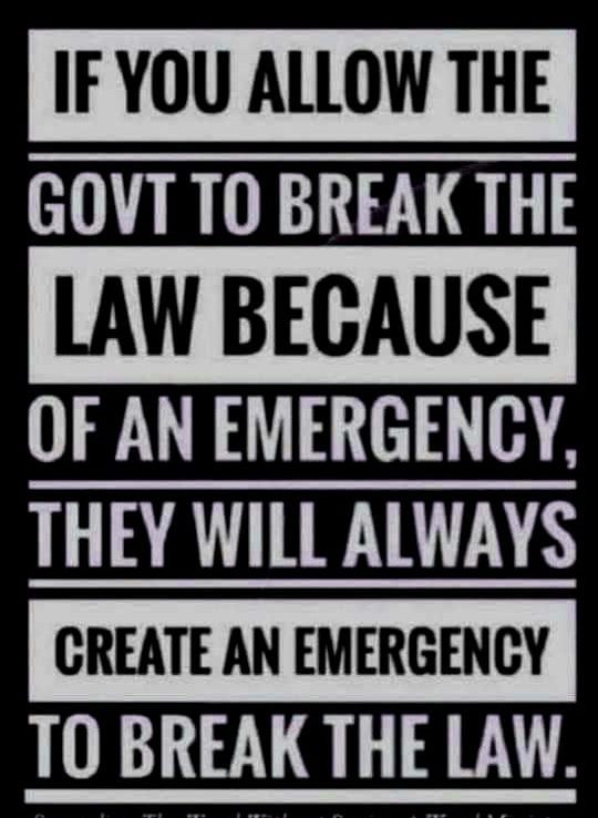 if-you-allow-the-government-to-break-the-law-in-an-emergency