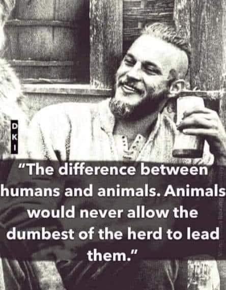 The Difference Between Humans & Animals