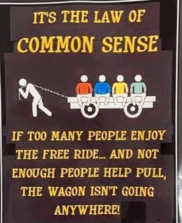 The Law of Common Sense