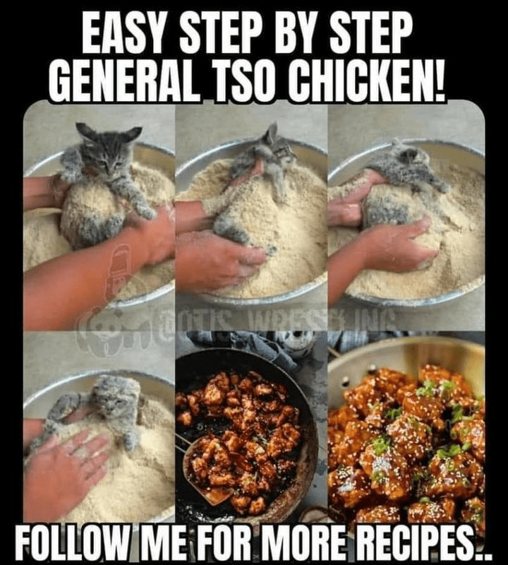 General Tso Chicken