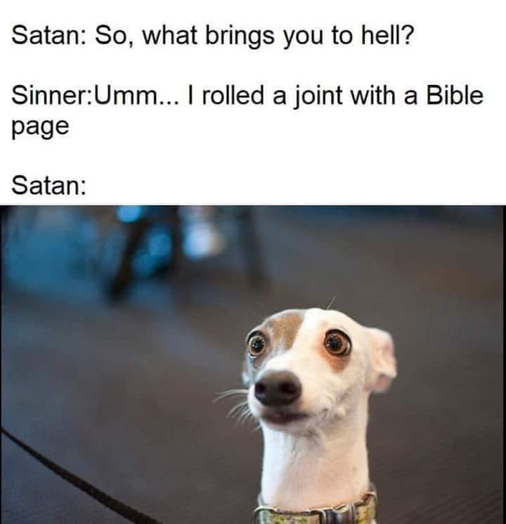 So What Brings You To Hell?