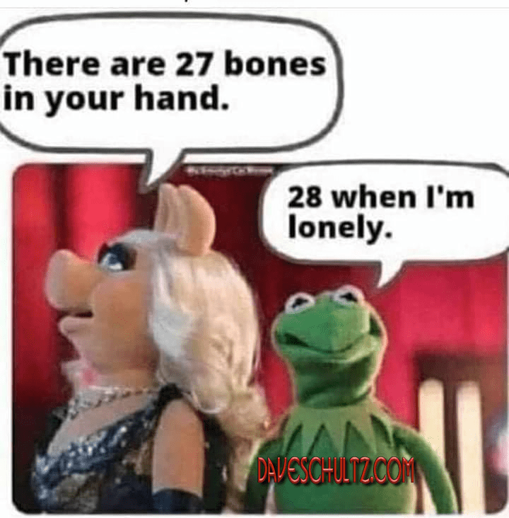 The Number Of Bones In Your Hand