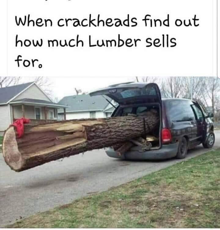 When Crackheads Learn The Value of Lumber