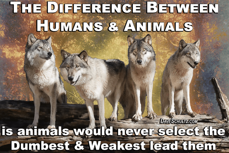 The Difference Between Humans & Animals | DaveSchultz.com